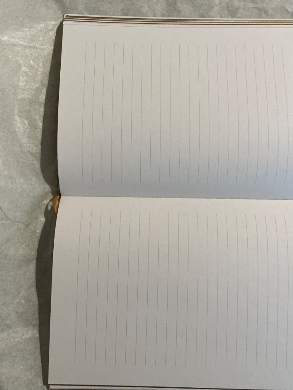 New Christian DIOR Notebook - Picture 7 of 10